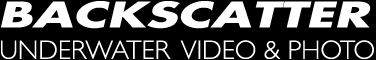 Backscatter