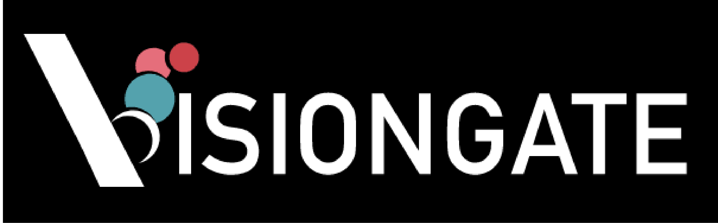 vision